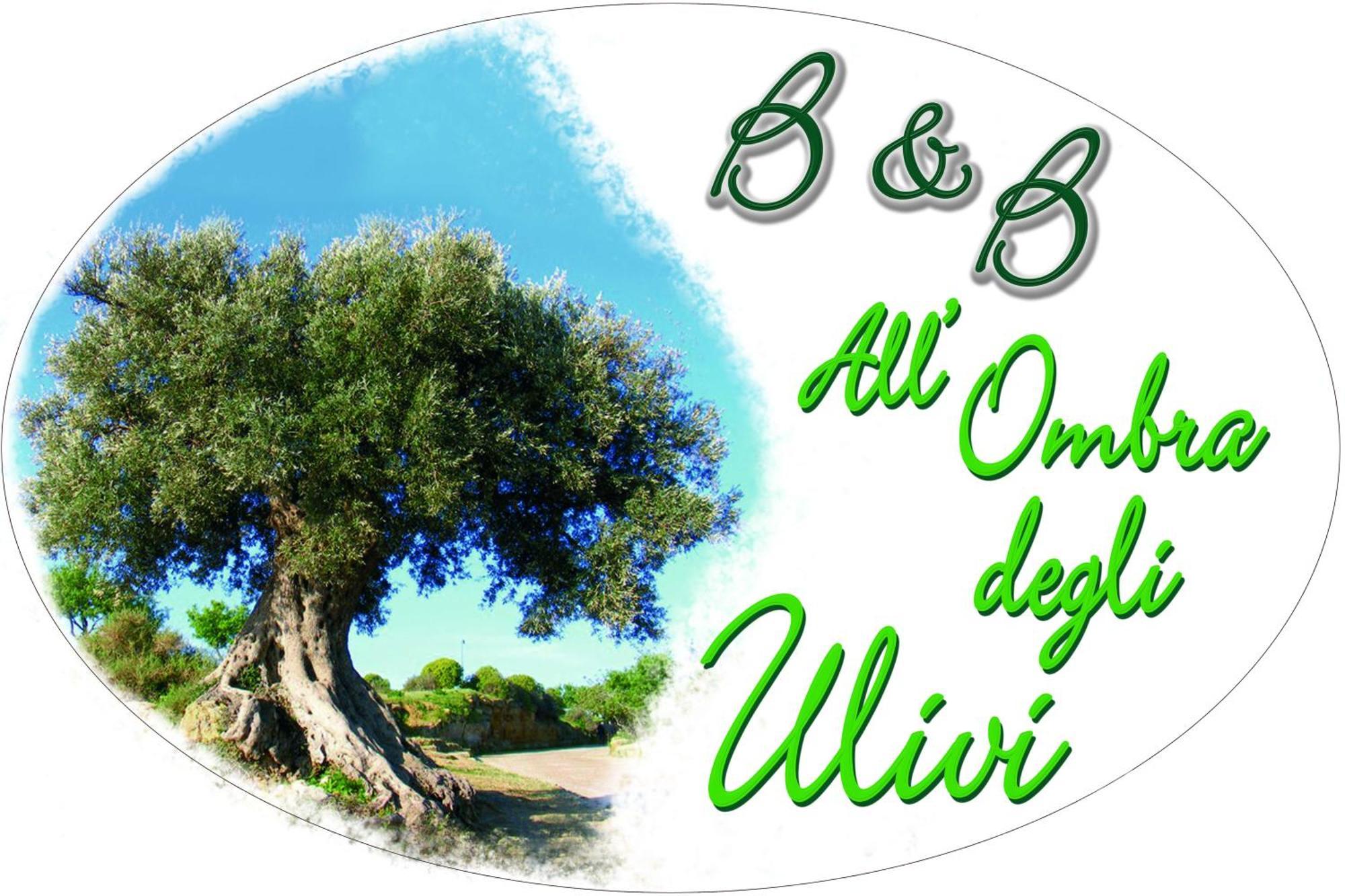 B&B All'Ombra Degli Ulivi オストゥーニ エクステリア 写真